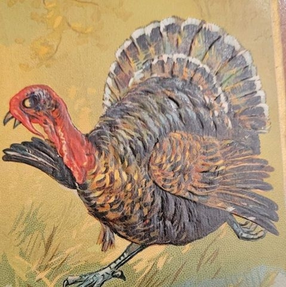 Meet your Posher, Dorothy